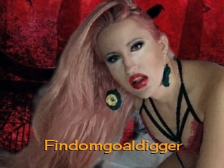Findomgoaldigger