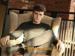 Flashwallis