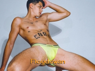 Floydswan