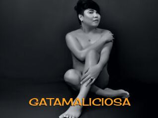 GATAMALICIOSA