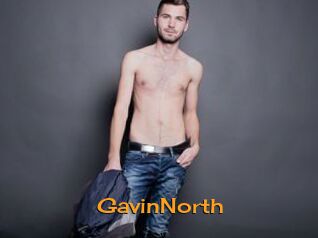 GavinNorth