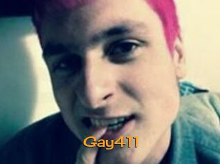 Gay411