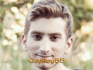 GayBoy55