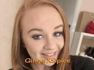 GingerXSpice