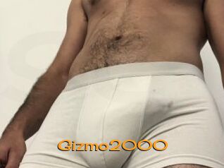 Gizmo2000