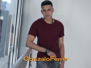 GonzaloFerrer