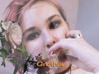 Grothia
