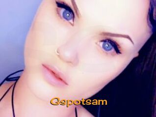 Gspotsam Sortez Couvert