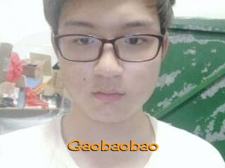 Gaobaobao