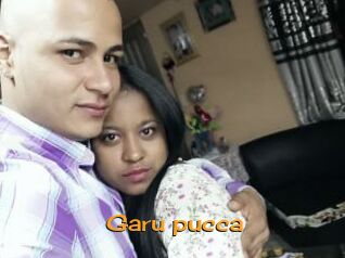 Garu_pucca