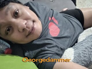 Georgedammer