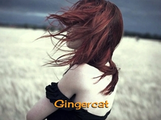Gingercat