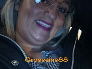 Grosseins88