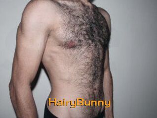 HairyBunny