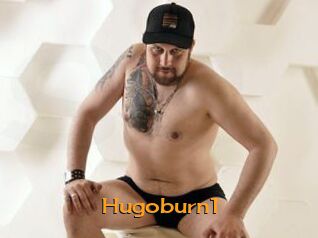 Hugoburn1