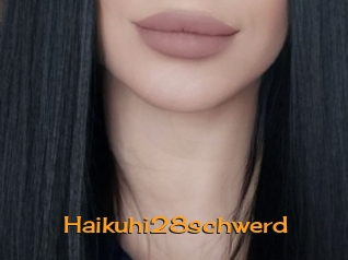 Haikuhi28schwerd