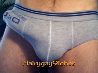 Hairygay9iches