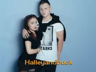 Halleyandbuck