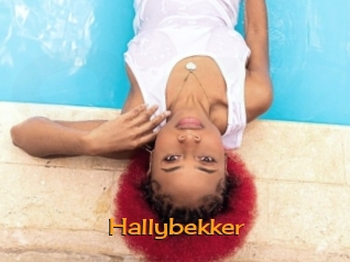 Hallybekker
