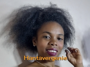 Hantavergenie