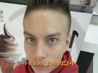 Harley_hard24
