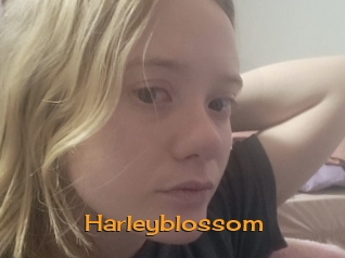 Harleyblossom