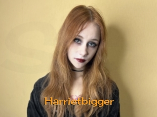 Harrietbigger