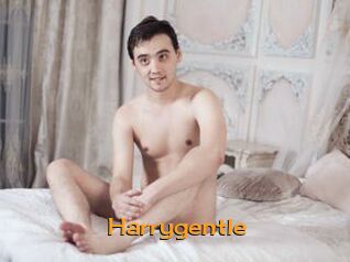 Harrygentle