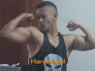 Harveywull