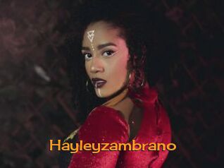 hayleyzambrano Sortez Couvert