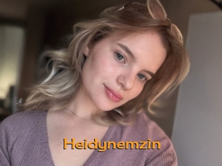 heidynemzin Sortez Couvert