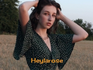 Heylarose