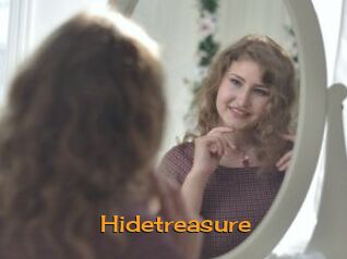 Hidetreasure
