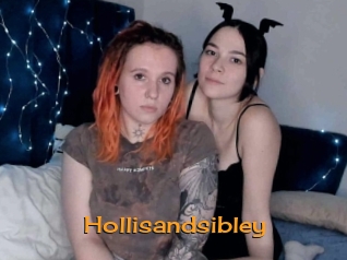 Hollisandsibley