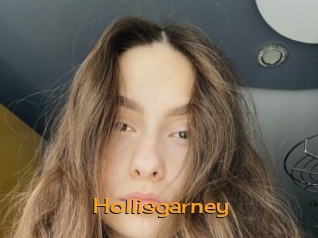 Hollisgarney