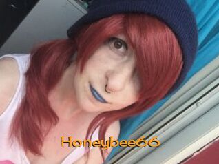 Honeybee66