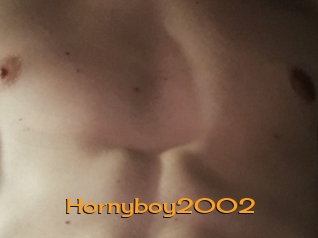 Hornyboy2002