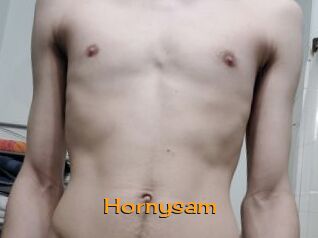 hornysam Sortez Couvert