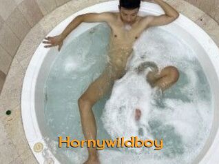 Hornywildboy
