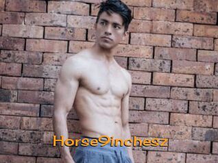Horse9inchesz