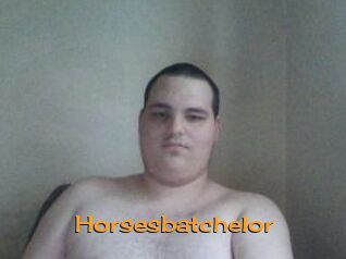 Horsesbatchelor