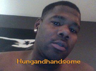 Hungandhandsome