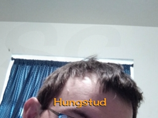 Hungstud