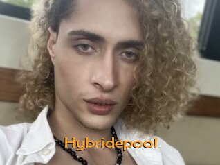 Hybridepool