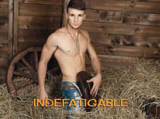 INDEFATIGABLE