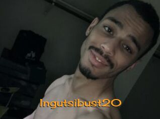 Ingutsibust20