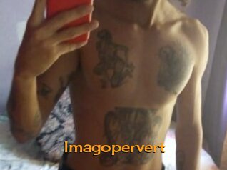 Imagopervert