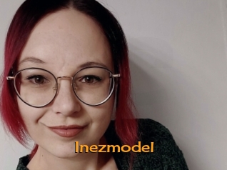 Inezmodel