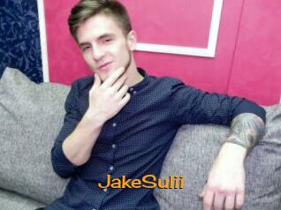 JakeSulii