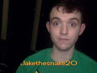 Jakethesnake20